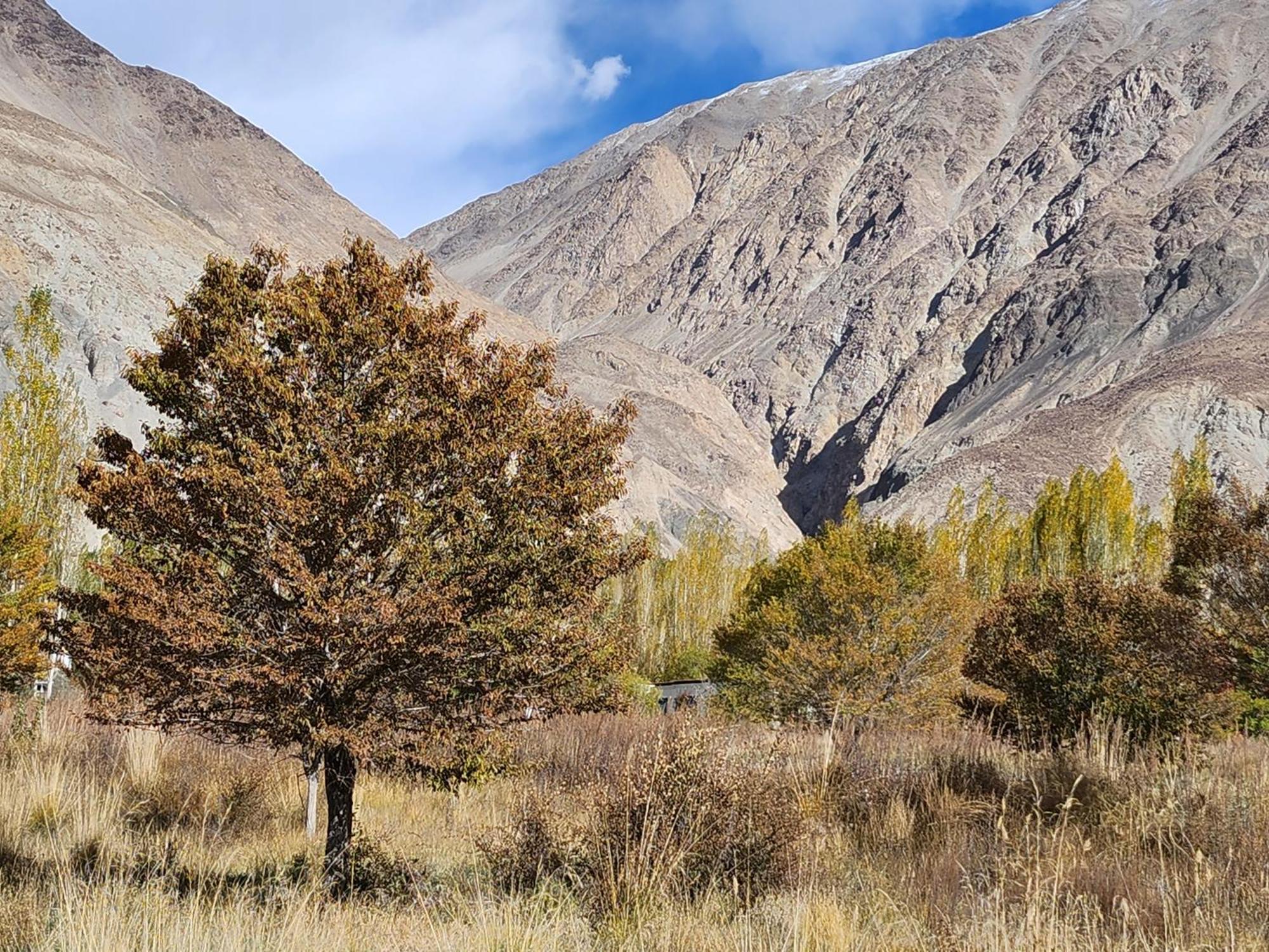 Lharimo Hotel Leh - Ladakh Exterior foto